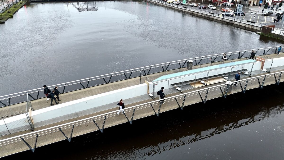 Donegal man admits guilt in 'cherry-picker' incident in Cork city centre last year