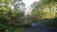LIVE: Flooding fears and travel disruption across Cork in wake of Storm Austen