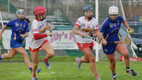 Aisling Shannon: St Finbarr's are ready for Munster challenge