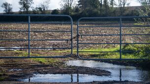 <p>Local flooding in Carrigtwohill area caused by storm Austen. Picture: Chani Anderson</p> <p>Local flooding in Carrigtwohill area caused by storm Austen. Picture: Chani Anderson</p>