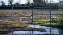 Storm Boelo: Cork among counties facing weather warnings for rain and wind