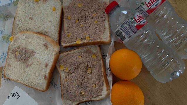 <p> A spokesperson for the residents said lunch was “one dry sandwich, no hot food”, (see above), while breakfast was only cereal and a litre of milk per week.</p> <p> A spokesperson for the residents said lunch was “one dry sandwich, no hot food”, (see above), while breakfast was only cereal and a litre of milk per week.</p>