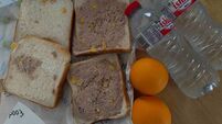 Ukrainians in Trabolgan left with ‘dry sandwich for lunch’ after cooking ban