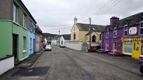 Endangered birds in two Cork villages will limit flood prevention works, report finds