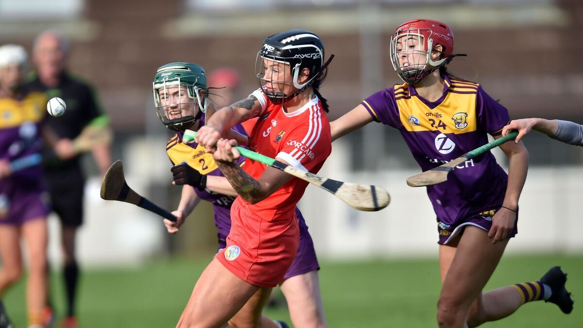 Youthful Cork camogie side will have it all to do away to champions Galway