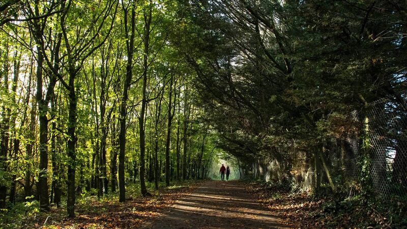 Finding beauty within 5km of my Cork city home