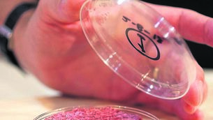 <p class="contextmenu internal_Caption">NEW RECIPE: A lab-grown meat burger made from cultured beef, developed in Maastricht University in the Netherlands in 2013</p>