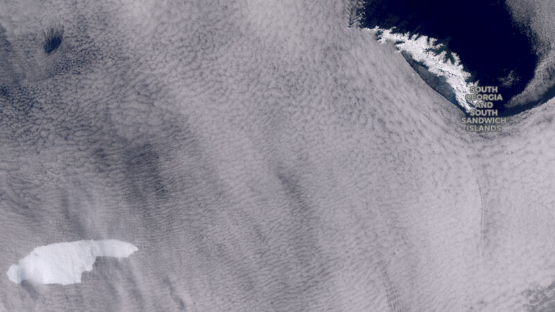 Fears for wildlife as giant iceberg floats toward South Georgia