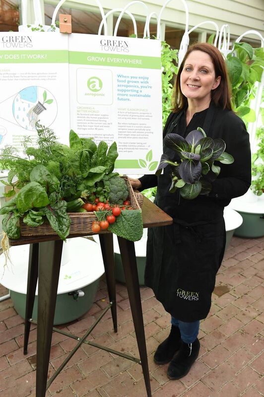 Jill O'Brien of Green Towers. Jill O'Brien of Green Towers.