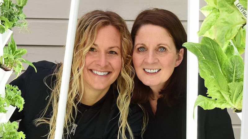Meet the Cork-based duo bringing a space-age food growing system to Ireland