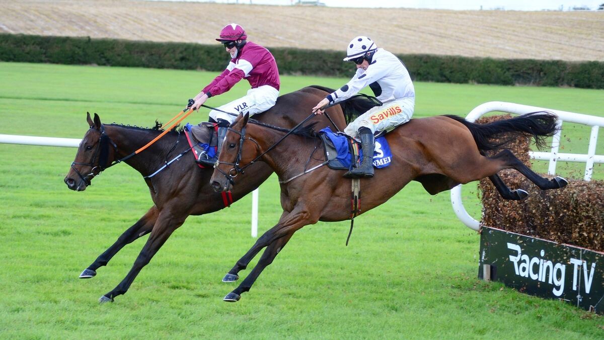Cork racing: Whatsyourstatus claims the spoils at Mallow track