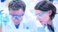Chemist team working with pipette and test tube in the laboratory
