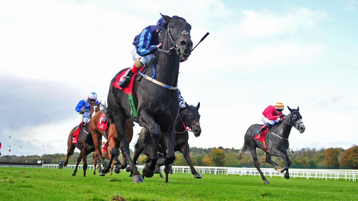 Cork racing: Innishannon trainer Kevin Coleman springs a surprise in Mallow
