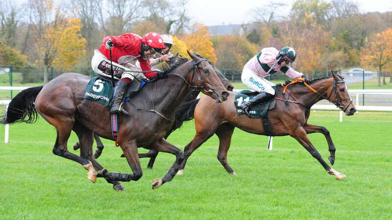 Dromore Lad wins big for John Ryan in Cork