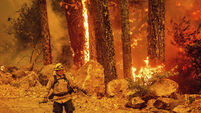 California Wildfires