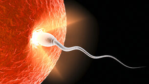 <p>Trying to conceive is a biological and emotional minefield. Picture: Stock</p>