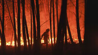 UN Natural Disasters