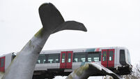 Netherlands Metro Whale