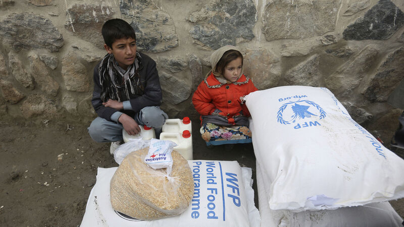 World Food Programme fights hunger in crises and war zones