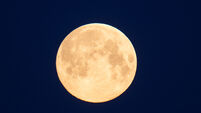Flower moon