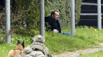 Denmark Killed Reporter