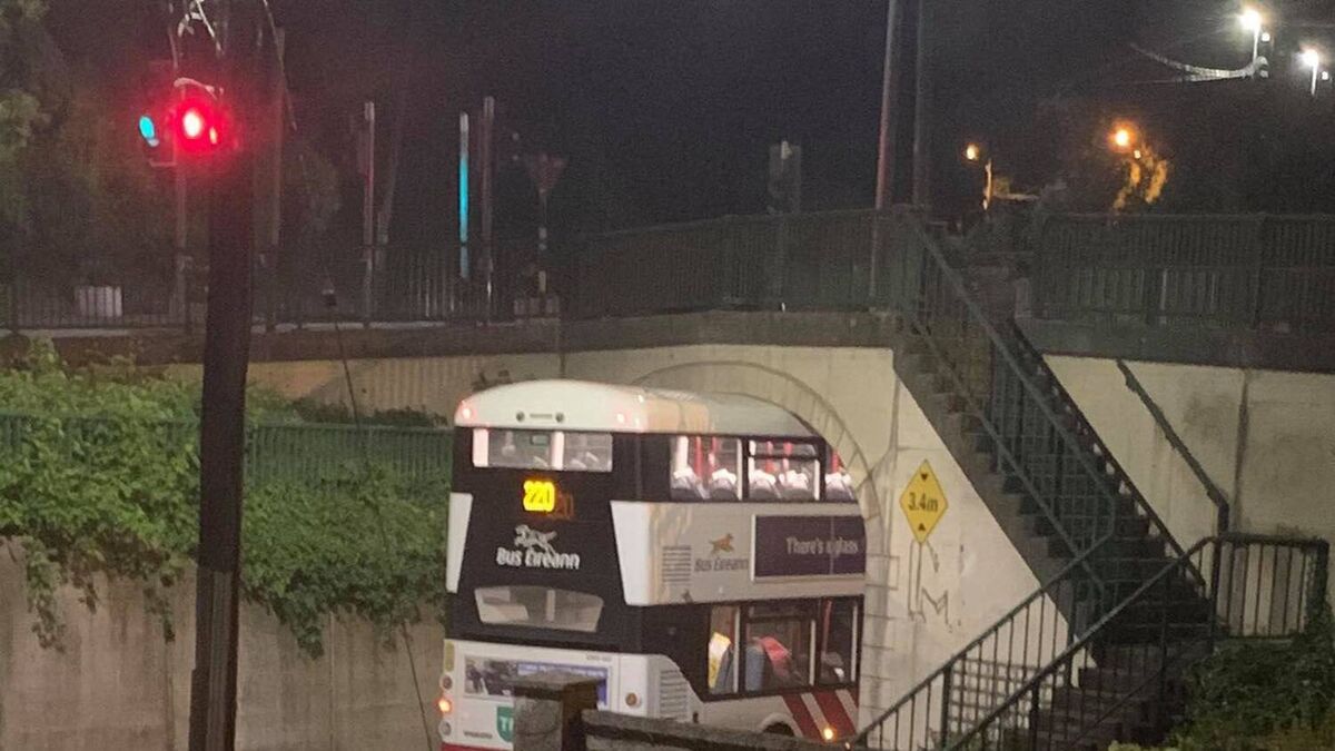 220 bus gets stuck under bridge in Douglas after wrong turn 