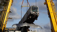 Netherlands Metro Whale