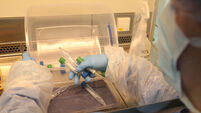 Coronavirus - Wed Apr 22, 2020