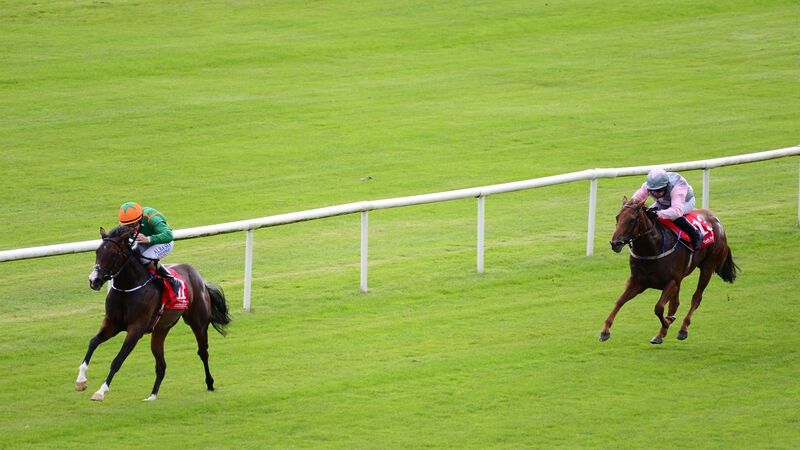 Review: Impressive Loch Lein takes the spoils at Cork Racecourse in Mallow Review: Impressive Loch Lein takes the spoils at Cork Racecourse in Mallow