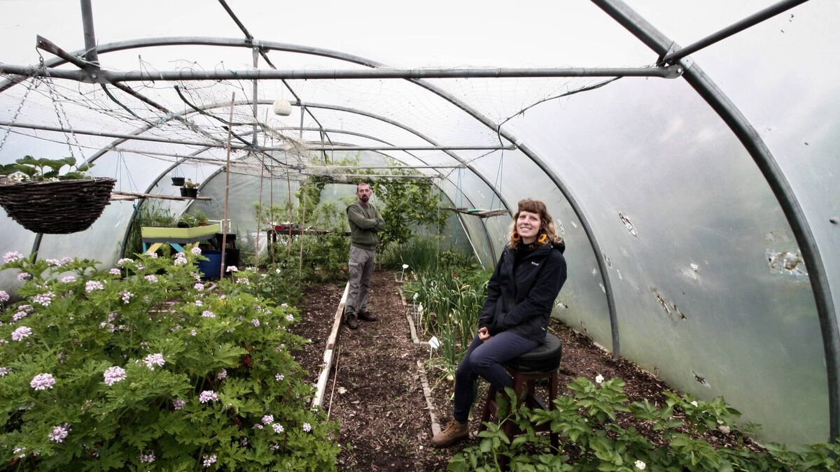 Green Women: Finding her NICHE on Cork’s northside