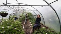 Green Women: Finding her NICHE on Cork’s northside