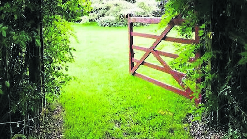 Looking for inspiration for my garden for 2021...