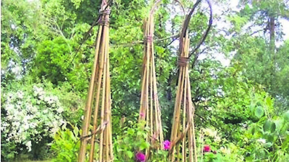 How to make your garden storm-proof