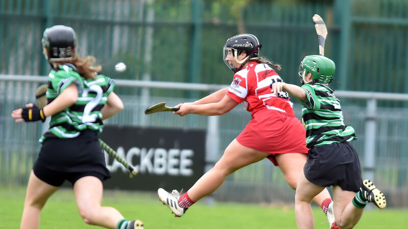 Courcey Rovers return to camogie decider with stylish dismissal of Douglas Courcey Rovers return to camogie decider with stylish dismissal of Douglas