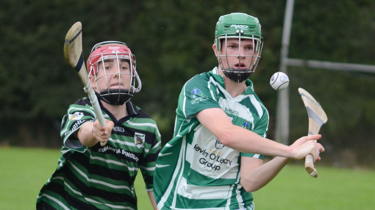 Valley Rovers hurlers land another U16 county after an impressive display 