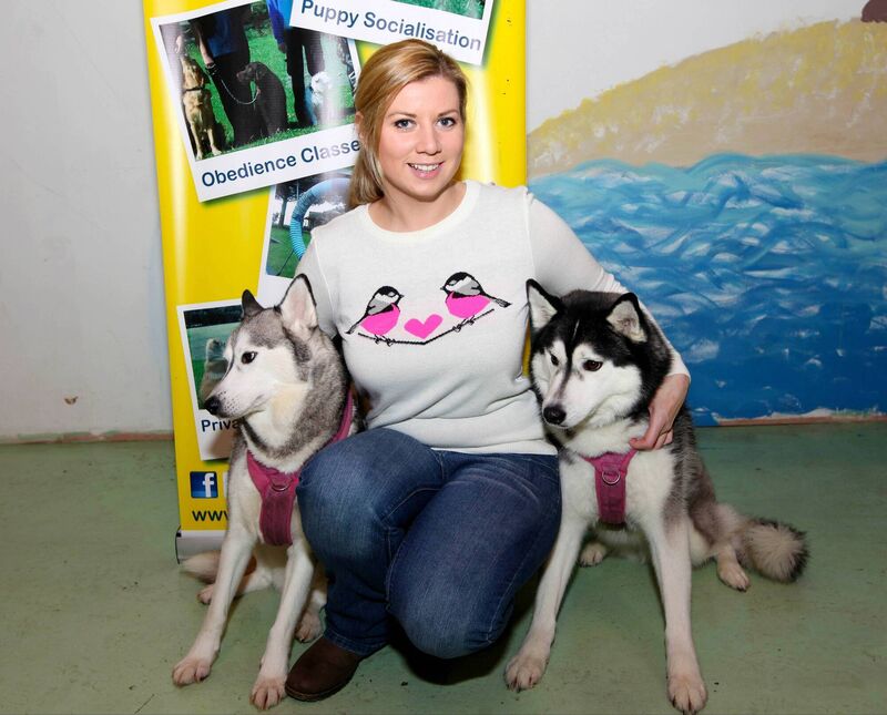 Dog Psychiatrist, Nanci Creedon, at Creedons Doggie Daycare in Little Island, Cork, with her dogs Bella and Daisy. Pic Provision Dog Psychiatrist, Nanci Creedon, at Creedons Doggie Daycare in Little Island, Cork, with her dogs Bella and Daisy. Pic Provision