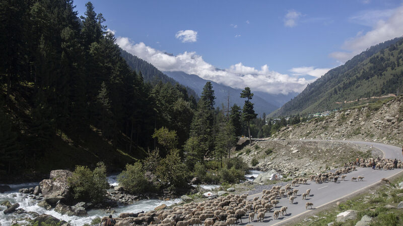 China says Indian forces crossed disputed border and fired warning shots