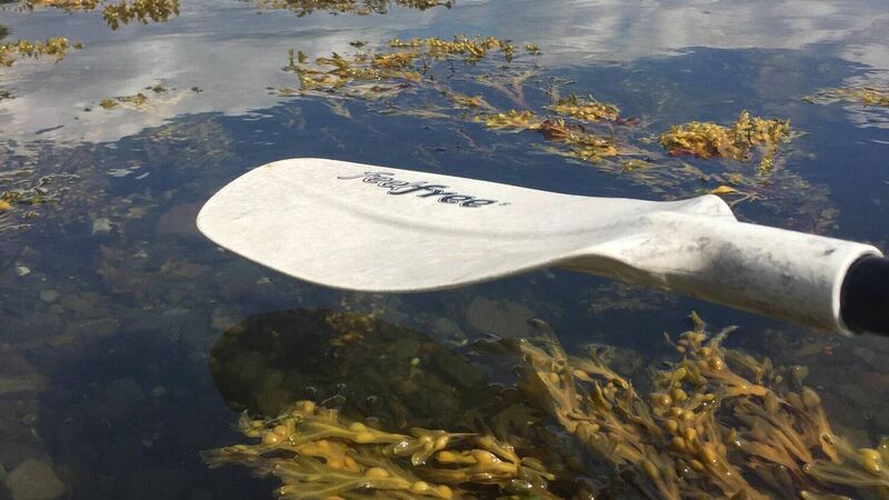 I spent the day kayaking the Bantry Blueway