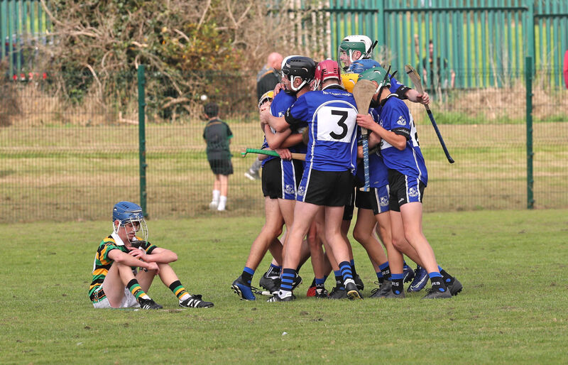  Sarsfields celebrate their win.