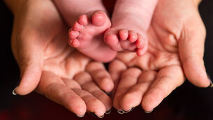 <p>Those first 12 weeks is a time of extensive development of baby’s little brain and nervous system, says Dr O'Driscoll. Picture: Stock</p>