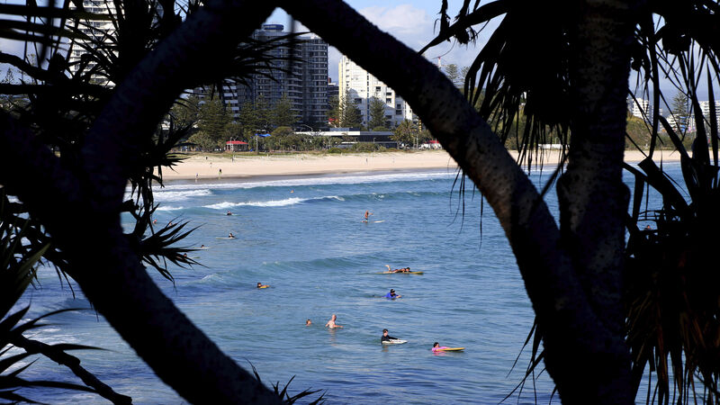 Shark kills surfer on Australia’s Gold Coast Shark kills surfer on Australia’s Gold Coast