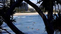 Shark kills surfer on Australia’s Gold Coast