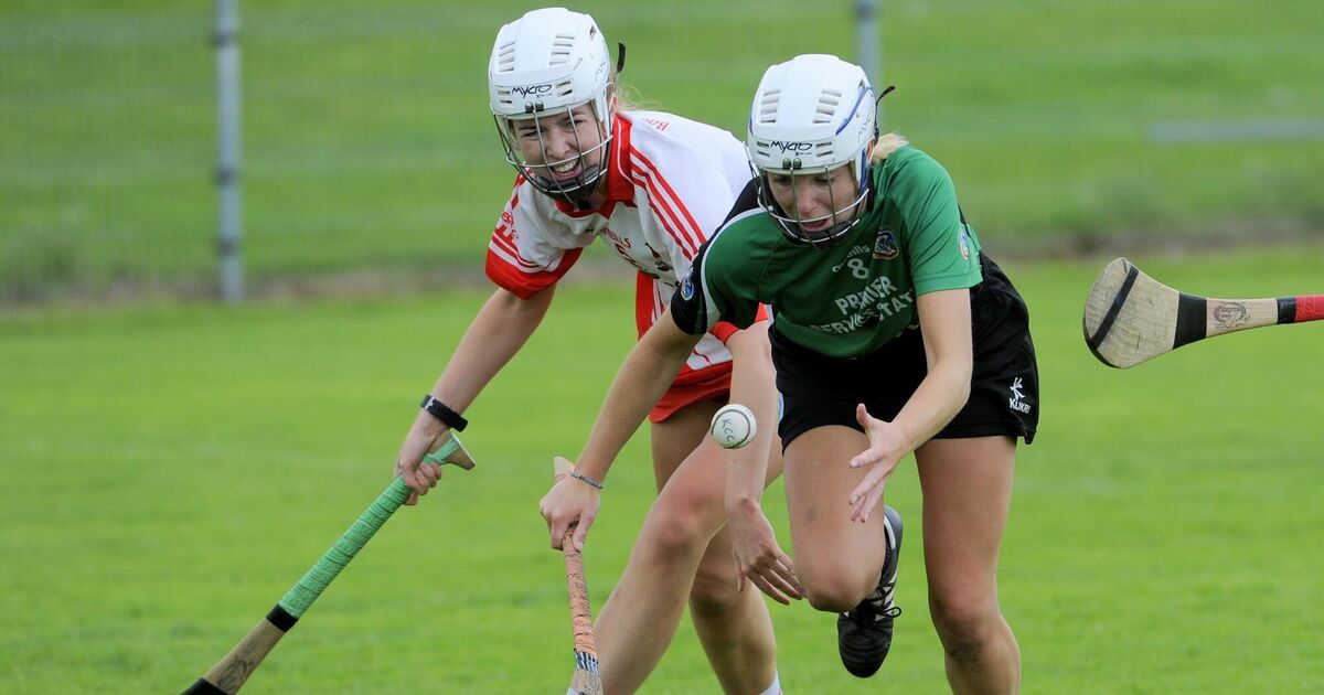 Early goals key for Killeagh camogie team to advance past Ballygarvan