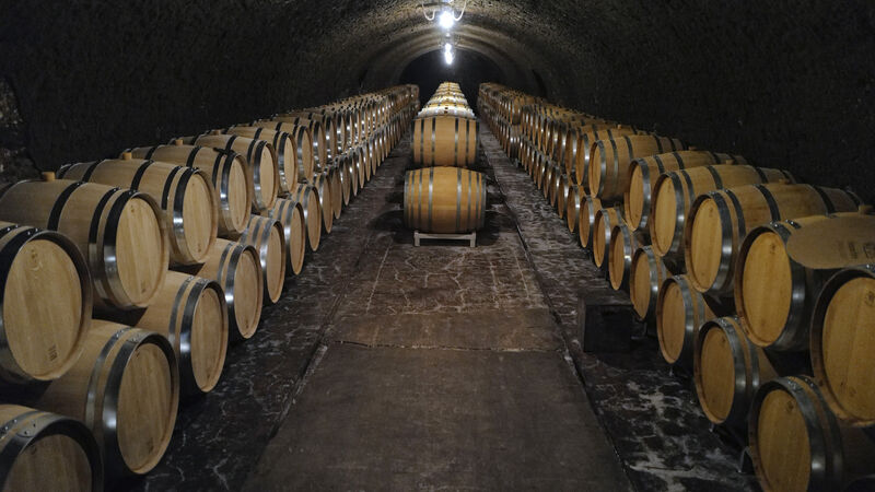 Champagne industry loses its sparkle as pandemic hits demand Champagne industry loses its sparkle as pandemic hits demand