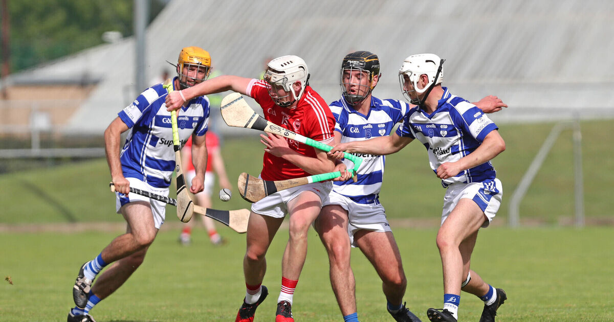 Premier Intermediate Hurling is the grade that always delivers in Cork