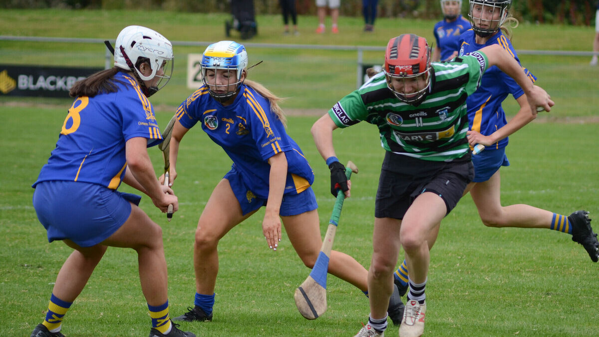 Linda Mellerick previews the weekend's knockout Cork Senior Camogie clashes