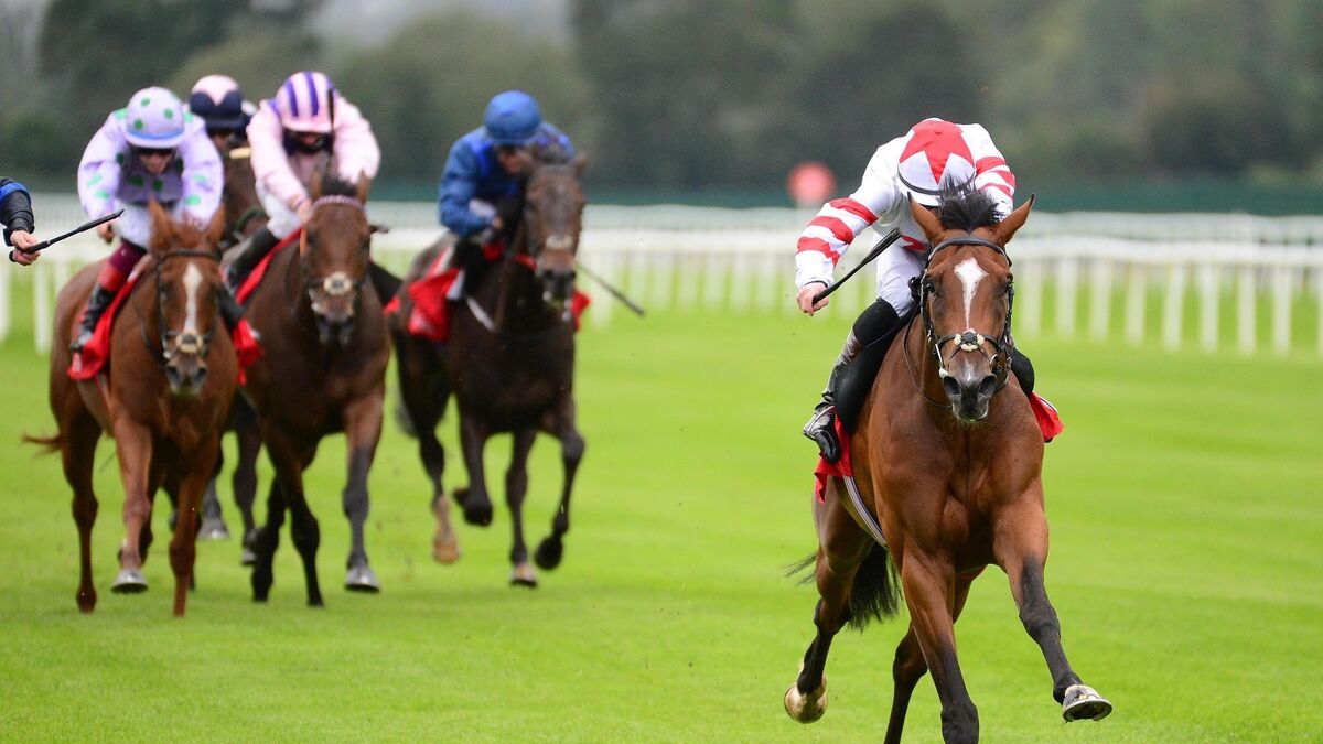 Cork Racecourse pulls last race on the card at Mallow due to Storm Francis