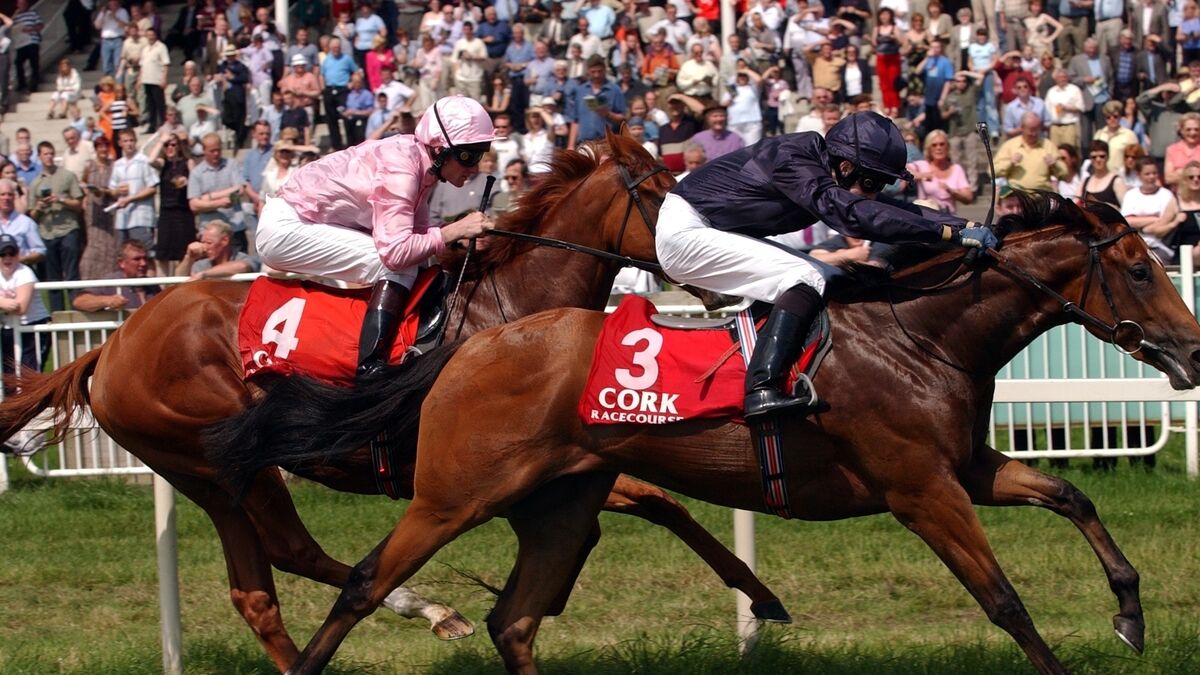 Cork racing: Jane Mangan marks your card for the weekend action