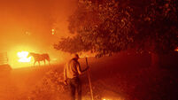 California Wildfires