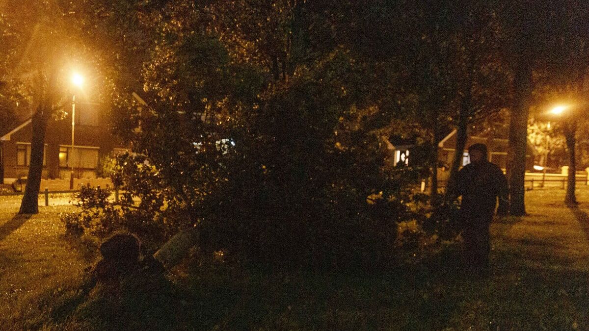 Cork balladeer writes song about Storm Ellen